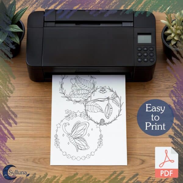 Easy-Printing-Digitale Producten-Levenscyclus Vlinder Kleurplaat-Sylluna