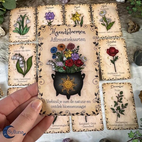 Maandbloemen Geboortebloemen Affirmatiekaarten Bloemenmagie-Altaarkaarten 3