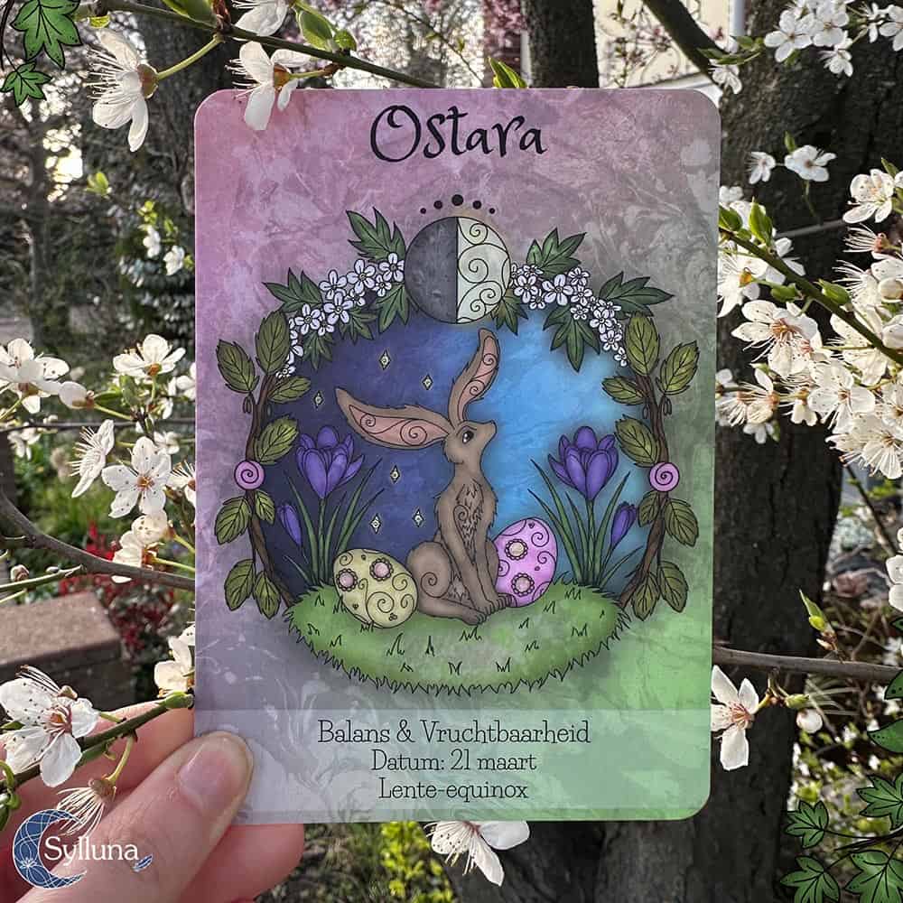 Een Magische Wereld tot Leven Brengen